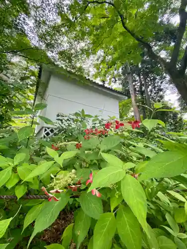 真正極楽寺（真如堂）の自然