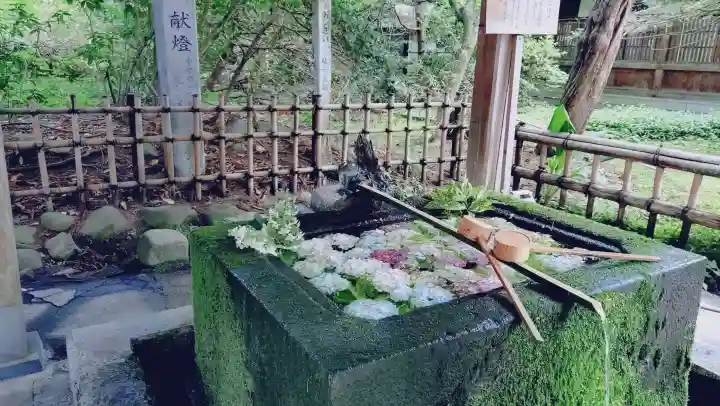 伊佐須美神社(福島県)
