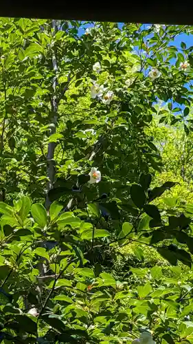 東林院(京都府)