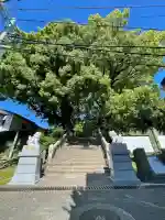 山王神社の{uncategorized: "未分類", other: "その他", undefined: "問題あり", building: "その他建物", grave: "お墓", sacred_gate: "鳥居", guardian: "狛犬", statue: "像", buddha: "仏像", history: "歴史", nature: "自然", garden: "庭園", animal: "動物", pagoda: "塔", temizu: "手水舎", mountain_gate: "山門・神門", sanctuary: "本殿・本堂", subordinate: "末社・摂社", art: "芸術", scenery: "景色", jizo: "地蔵", ema: "絵馬", goshuin: "御朱印", omikuji: "おみくじ", items: "授与品その他", amulet: "お守り", goshuincho: "御朱印帳", eats: "食事", festival: "お祭り", votive_dance: "神楽", shichigosan: "七五三参", wedding: "結婚式", experience: "体験その他", initially: "初詣", around: "周辺", anti_infection: "感染症対策"}