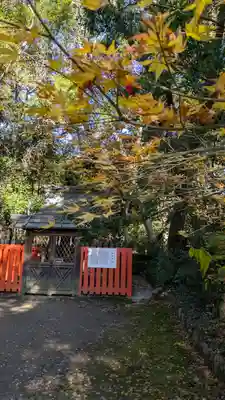 半木神社(賀茂別雷神社境外末社)(京都府)