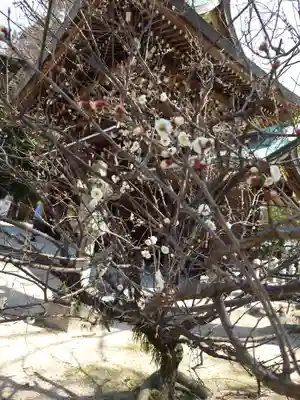 速谷神社(広島県)