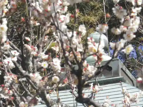 浄光明寺の自然