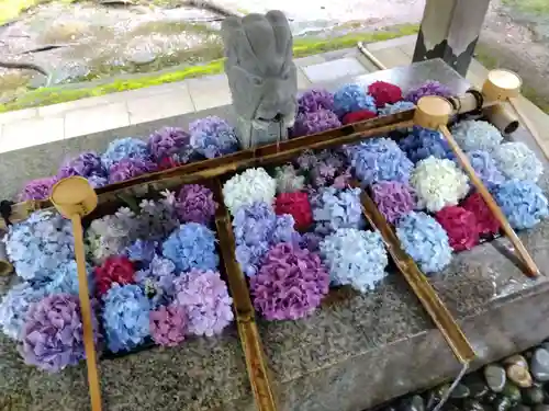 足羽神社(福井県)