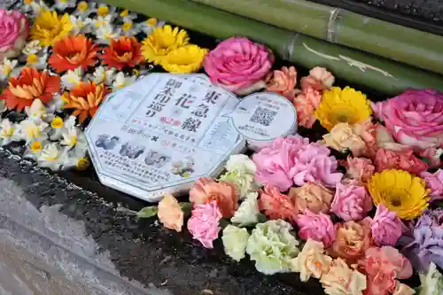 宗隆寺(神奈川県)