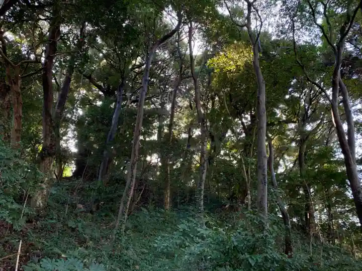 姉埼神社(千葉県)