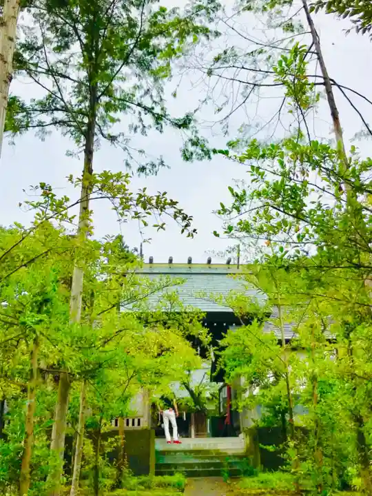青麻神社(茨城県)
