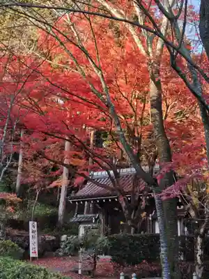 西教寺(滋賀県)