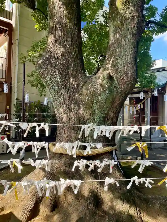 溝口神社の{uncategorized: "未分類", other: "その他", undefined: "問題あり", building: "その他建物", grave: "お墓", sacred_gate: "鳥居", guardian: "狛犬", statue: "像", buddha: "仏像", history: "歴史", nature: "自然", garden: "庭園", animal: "動物", pagoda: "塔", temizu: "手水舎", mountain_gate: "山門・神門", sanctuary: "本殿・本堂", subordinate: "末社・摂社", art: "芸術", scenery: "景色", jizo: "地蔵", ema: "絵馬", goshuin: "御朱印", omikuji: "おみくじ", items: "授与品その他", amulet: "お守り", goshuincho: "御朱印帳", eats: "食事", festival: "お祭り", votive_dance: "神楽", shichigosan: "七五三参", wedding: "結婚式", experience: "体験その他", initially: "初詣", around: "周辺", anti_infection: "感染症対策"}