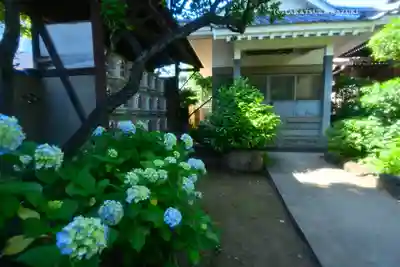 白山神社(東京都)