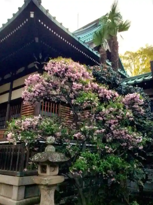 龍光寺(東京都)