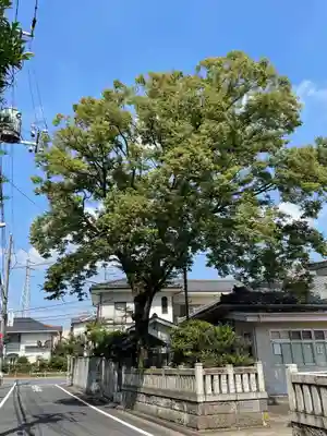 稲荷神社の自然