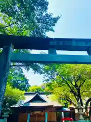 日枝神社の鳥居