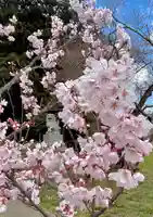 蚊里田八幡宮(長野県)