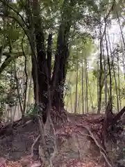 若都王子神社(兵庫県)