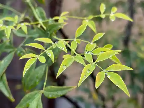 西方山極楽寺(岐阜県)