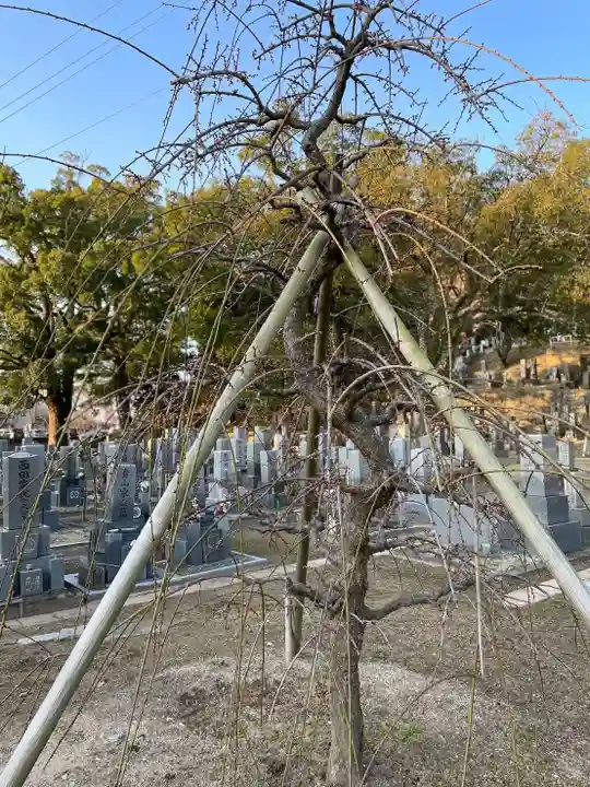 伊勢の国 四天王寺の自然