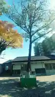 別小江神社の自然
