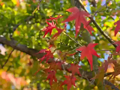 伊勢の国 四天王寺(三重県)