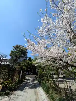鳩森八幡神社(東京都)