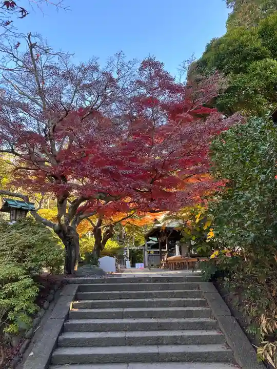 鎌倉宮(神奈川県)