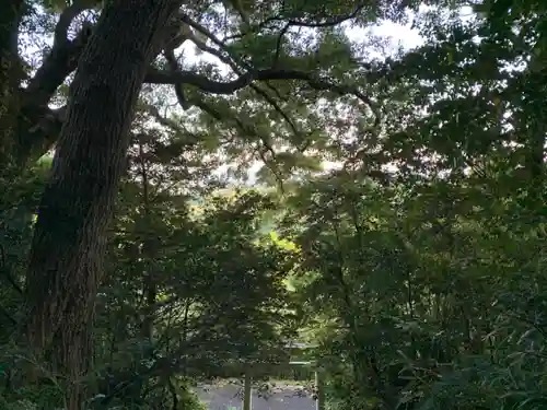 浅間神社の自然