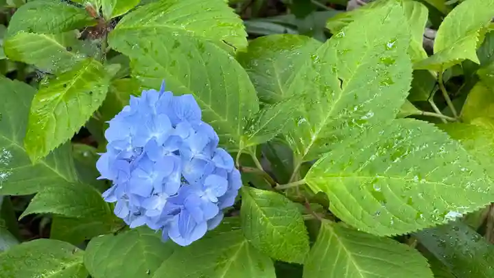 竹林寺(高知県)