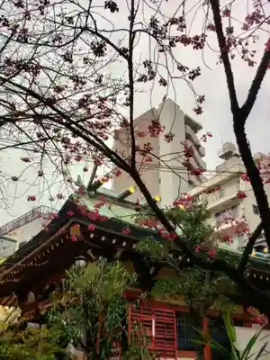 秋葉神社(東京都)
