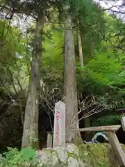 大山阿夫利神社本社(神奈川県)