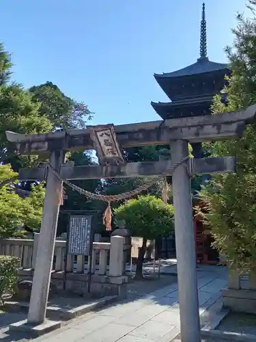 東寺（教王護国寺）(京都府)