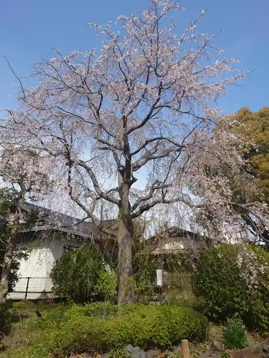 白旗神社(神奈川県)