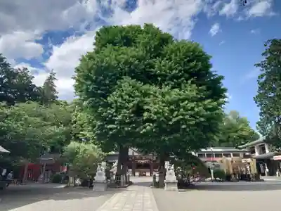 亀ケ池八幡宮(神奈川県)