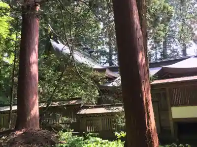 飛驒一宮水無神社(岐阜県)