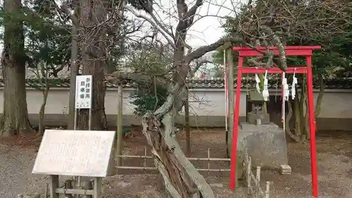 弘道館鹿島神社(茨城県)