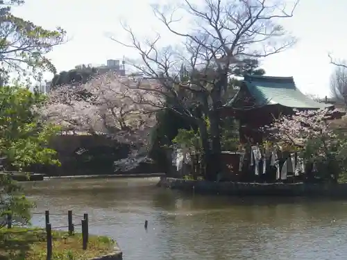 鶴岡八幡宮の庭園