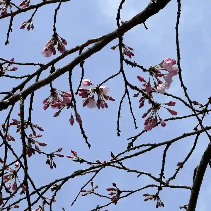 光明寺(静岡県)