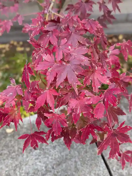 乃木神社(東京都)