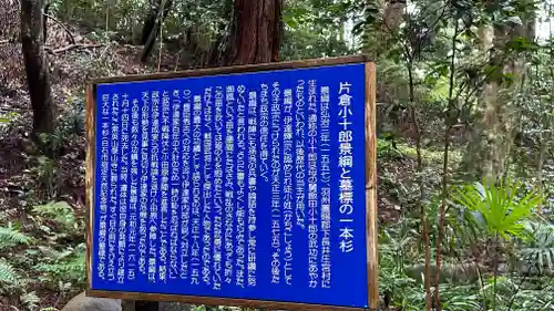 傑山寺(宮城県)