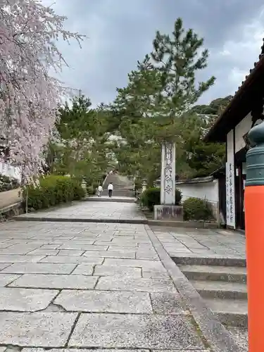 長谷寺(奈良県)