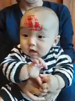 伏木香取神社(茨城県)