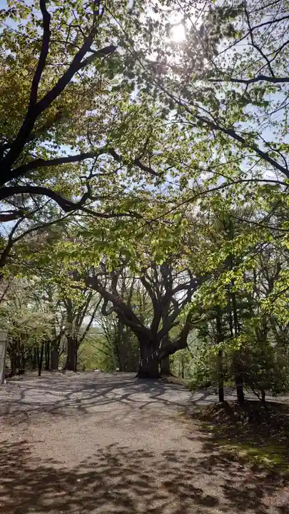 相馬神社(北海道)