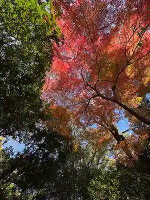 熱田神宮(愛知県)