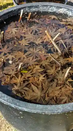 勝林寺(京都府)