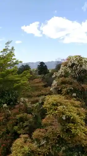 竹林院の景色