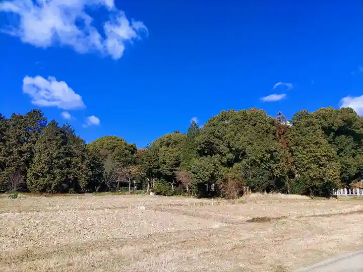熊野神社の自然