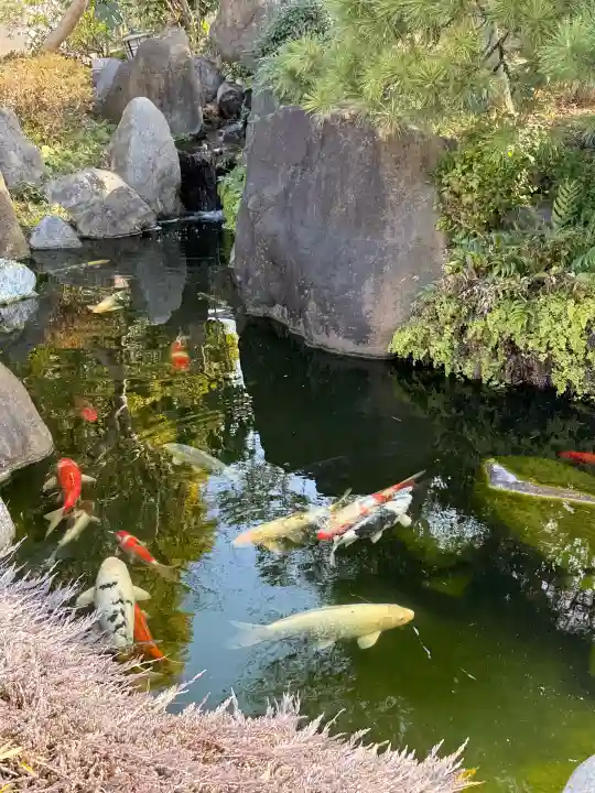 大蓮寺の{uncategorized: "未分類", other: "その他", undefined: "問題あり", building: "その他建物", grave: "お墓", sacred_gate: "鳥居", guardian: "狛犬", statue: "像", buddha: "仏像", history: "歴史", nature: "自然", garden: "庭園", animal: "動物", pagoda: "塔", temizu: "手水舎", mountain_gate: "山門・神門", sanctuary: "本殿・本堂", subordinate: "末社・摂社", art: "芸術", scenery: "景色", jizo: "地蔵", ema: "絵馬", goshuin: "御朱印", omikuji: "おみくじ", items: "授与品その他", amulet: "お守り", goshuincho: "御朱印帳", eats: "食事", festival: "お祭り", votive_dance: "神楽", shichigosan: "七五三参", wedding: "結婚式", experience: "体験その他", initially: "初詣", around: "周辺", anti_infection: "感染症対策"}