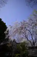 子安神社(東京都)