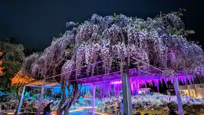 金蛇水神社(宮城県)