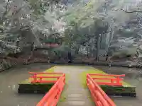 宇佐神宮の{uncategorized: "未分類", other: "その他", undefined: "問題あり", building: "その他建物", grave: "お墓", sacred_gate: "鳥居", guardian: "狛犬", statue: "像", buddha: "仏像", history: "歴史", nature: "自然", garden: "庭園", animal: "動物", pagoda: "塔", temizu: "手水舎", mountain_gate: "山門・神門", sanctuary: "本殿・本堂", subordinate: "末社・摂社", art: "芸術", scenery: "景色", jizo: "地蔵", ema: "絵馬", goshuin: "御朱印", omikuji: "おみくじ", items: "授与品その他", amulet: "お守り", goshuincho: "御朱印帳", eats: "食事", festival: "お祭り", votive_dance: "神楽", shichigosan: "七五三参", wedding: "結婚式", experience: "体験その他", initially: "初詣", around: "周辺", anti_infection: "感染症対策"}