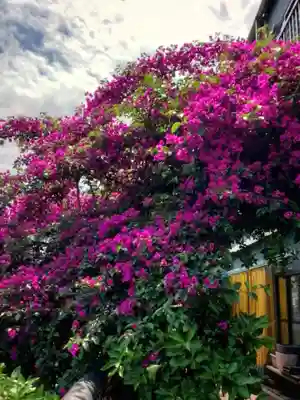 本郷氷川神社(東京都)